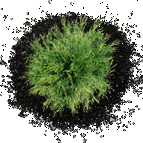 грунт плодородный